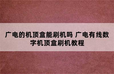 广电的机顶盒能刷机吗 广电有线数字机顶盒刷机教程